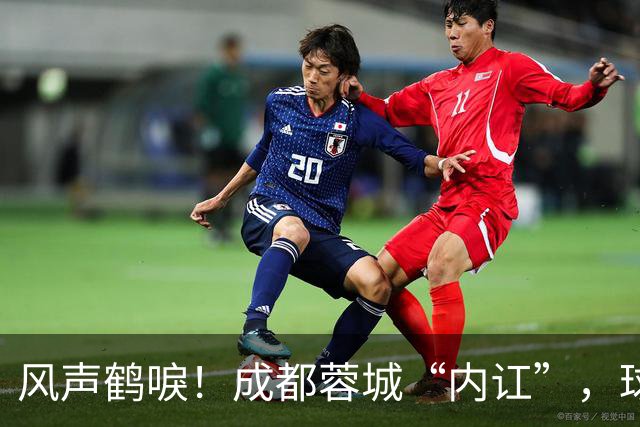 风声鹤唳！成都蓉城“内讧”，球迷担心刘殿座放水，另一人更危险