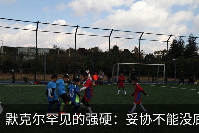 默克尔罕见的强硬：妥协不能没底线，绝不会把德国拱手让给对手